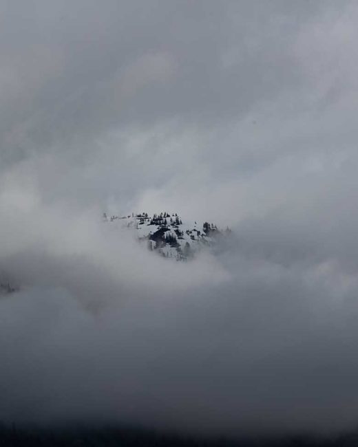 GRIZZLY-BEARS-201823